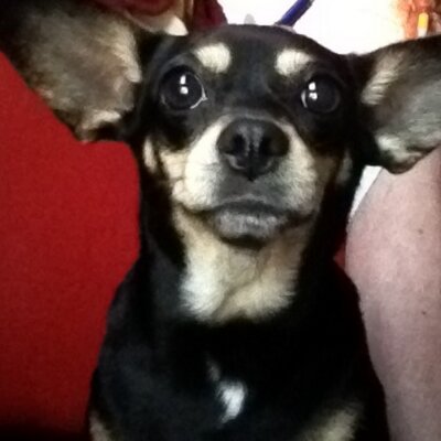 Profile Picture of Kim Rulo-Hall (@OkSwthrt1) on Twitter