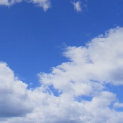 Profile Picture of Tyler Corbitt (@ismetyler) on Twitter