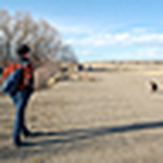 Profile Picture of Transcendental Moo Cow (@Transcendental Moo Cow) on Flickr