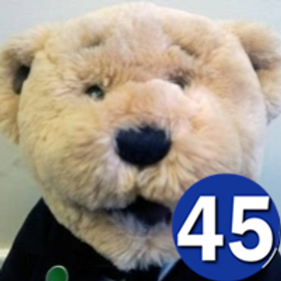Profile Picture of Tom Solar Bear (@@TomSolarBear) on Twitter