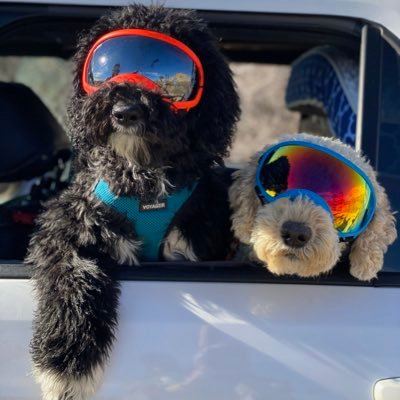 Profile Picture of Nate Morris (@NateJMorris) on Twitter