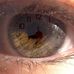 Profile Picture of Floyd Meredith (@floyd.meredith.169) on Facebook