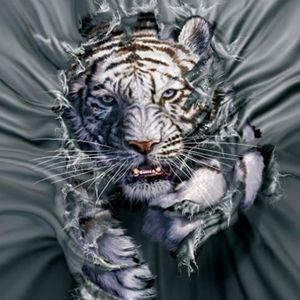 Profile Picture of Kim Osman (@367877571) on Myspace