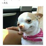 Profile Picture of Nidia Saenz (@saenz7750) on Instagram