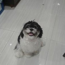 Profile Picture of Mia C Torralba (@torralba_mia) on Twitter