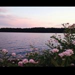 Profile Picture of 죄 갈 용 (@joegalyong) on Instagram