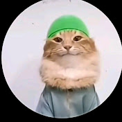 Profile Picture of B Shah (@bshah2429) on Youtube