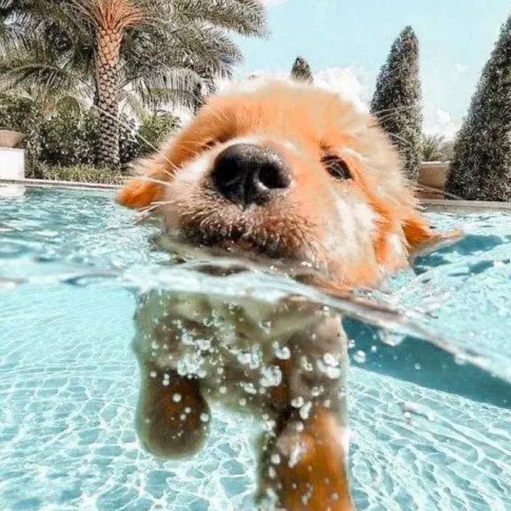 Profile Picture of 𝗧𝗵𝗮𝗻𝗸 𝘆𝗼𝘂 𝗳𝗼𝗿 435🥺 (@chars.starbuck) on Tiktok