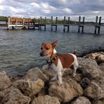 Profile Picture of Jager Neuwirth (@jager.neuwirth) on Facebook