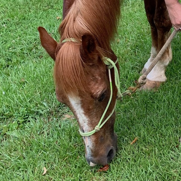 Profile Picture of Callie Cabella (@calliecabella) on Poshmark