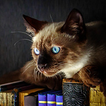 Profile Picture of ?lvaro L. Berr?n (@al_berron) on Flickr