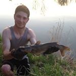 Profile Picture of Scott Bendell (@bendellscott) on Instagram