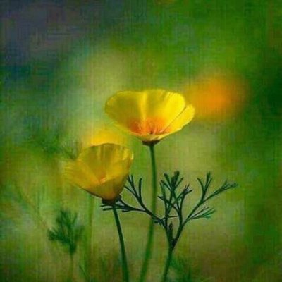 Profile Picture of Alice Mora (@AliceDu24381631) on Twitter