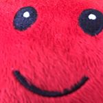 Profile Picture of Matthew Kuester (@matthewkuester) on Instagram