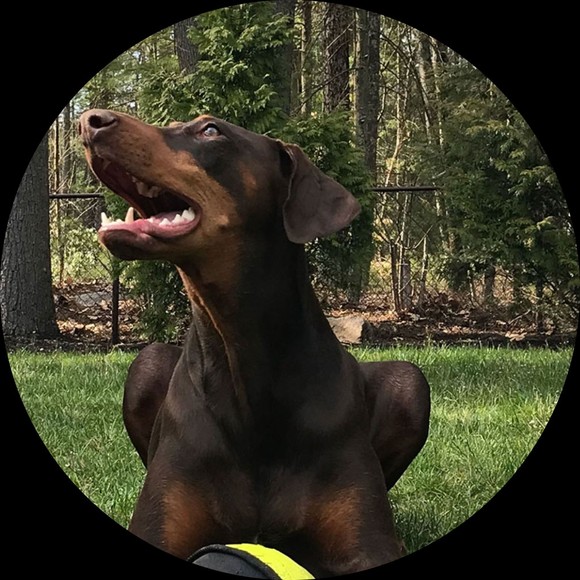 Profile Picture of Paul Flebotte (@flebotomy) on Poshmark