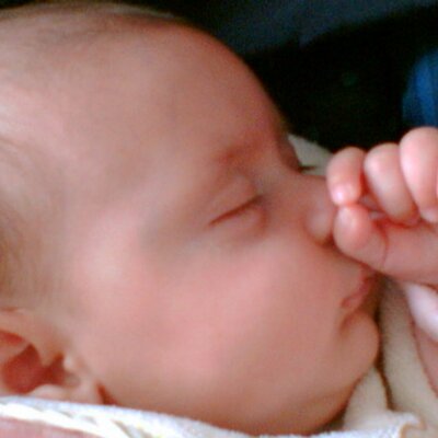 Profile Picture of Nancy El-Murr (@NancyElMurr) on Twitter
