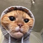 Profile Picture of paula (@paula.lombarte) on Instagram