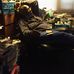 Profile Picture of Adam Horne (@adam.horne.5015) on Facebook