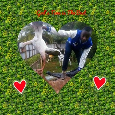 Profile Picture of Mike Tash (@MikeTash14) on Twitter