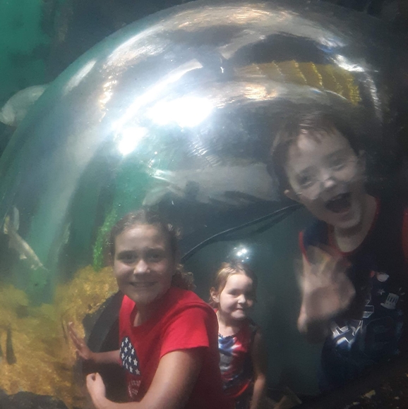 Savannah Holley - Poshmark Profile Picture of Savannah Holley (@bamababy014) on Poshmark