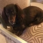 Profile Picture of Cindy Adler Luzon (@luzoncindy) on Instagram