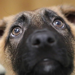 Profile Picture of Tony Cox (@stealth1968) on Flickr