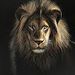 Profile Picture of James Reyes (@nebozaph) on Pinterest