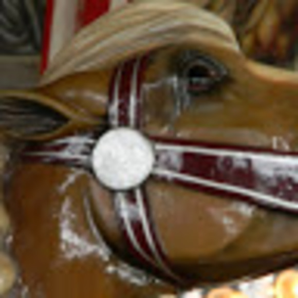 Profile Picture of Martha Pulrang (@festivechicken) on Poshmark