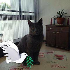 Profile Picture of Joseph Burg (@@josephburg1) on Tiktok