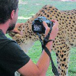 Profile Picture of Brian Goodowitz (@goodowitz) on Instagram