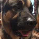 James Marotta - Instagram Profile Picture of James Marotta (@marotta.james) on Instagram