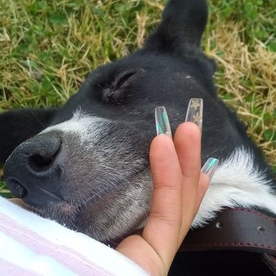 Profile Picture of Alejandra Noemi Méndez Hidalgo (@Alejand62783668) on Twitter