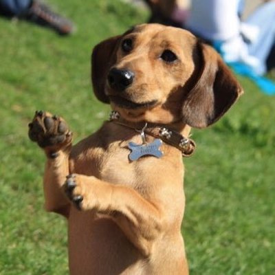 Profile Picture of Carrie Daniel (@CarrieDaniel) on Twitter