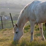 Gary Webster - Flickr Profile Picture of Gary Webster (@possumhead photography) on Flickr
