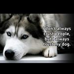 Profile Picture of tony rader (@2old_dog) on Instagram