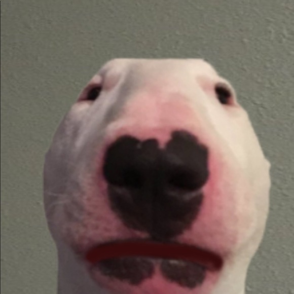 Profile Picture of Charles Meuser (@merliskeyed) on Poshmark