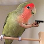 mark.pekar - Instagram Profile Picture of mark.pekar (@mark.pekar) on Instagram