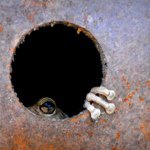 Profile Picture of Fabien Meyer (@fabienmeyerguide) on Instagram