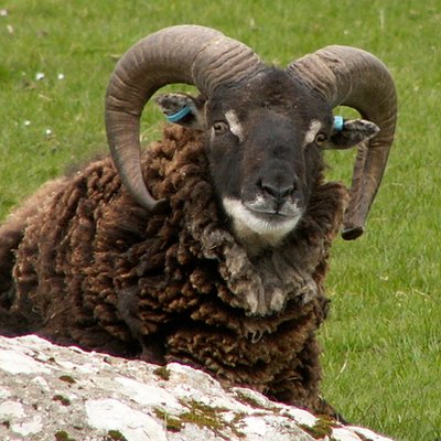 Profile Picture of Colin Drummond-Arnot (@scotty2512) on Twitter