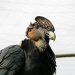 William Bryan - Flickr Profile Picture of William Bryan (@w.bryan13) on Flickr