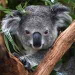 Profile Picture of David Rigaud (@david.rigaud.1694) on Instagram