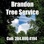 Profile Picture of Brandon Tree Service (@brandontreeservice5898) on Youtube