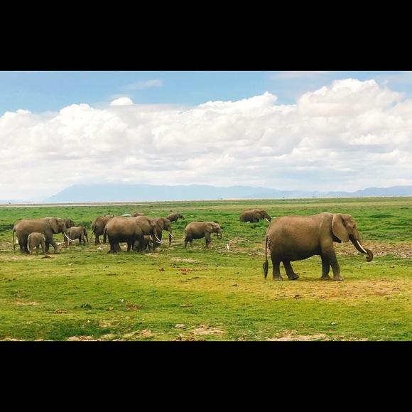 Profile Picture of Priscillia Aggreh (@piaggreh) on Poshmark