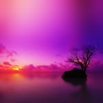 Profile Picture of Lara Janet Nola Caldwell (@ljncaldwell2018) on Instagram