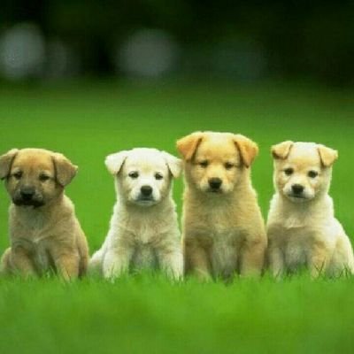 Profile Picture of Charisse Brown (@cherryb2002) on Twitter