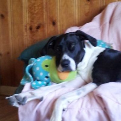 Profile Picture of Aimee' Cordero (@Aimee_Cordero) on Twitter