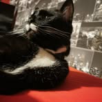 Profile Picture of Robin Braithwaite (@Robin-Braithwaite) on Facebook