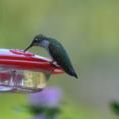 Profile Picture of Jeff Calvert (@calvert0130) on Pinterest
