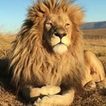 Profile Picture of juan mello velazquez @ (@juan_mello_velazquez) on Instagram