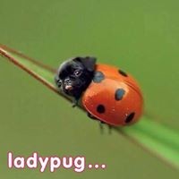 Profile Picture of Stefanie Hoover (@stefanie-hoover) on Quora